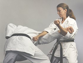 Application from the kata Tekki Sandan
