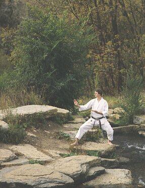 Joe performing a Knife-hand block Shotokan Karate