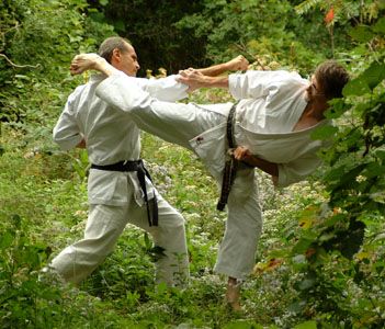Shotokan Karate